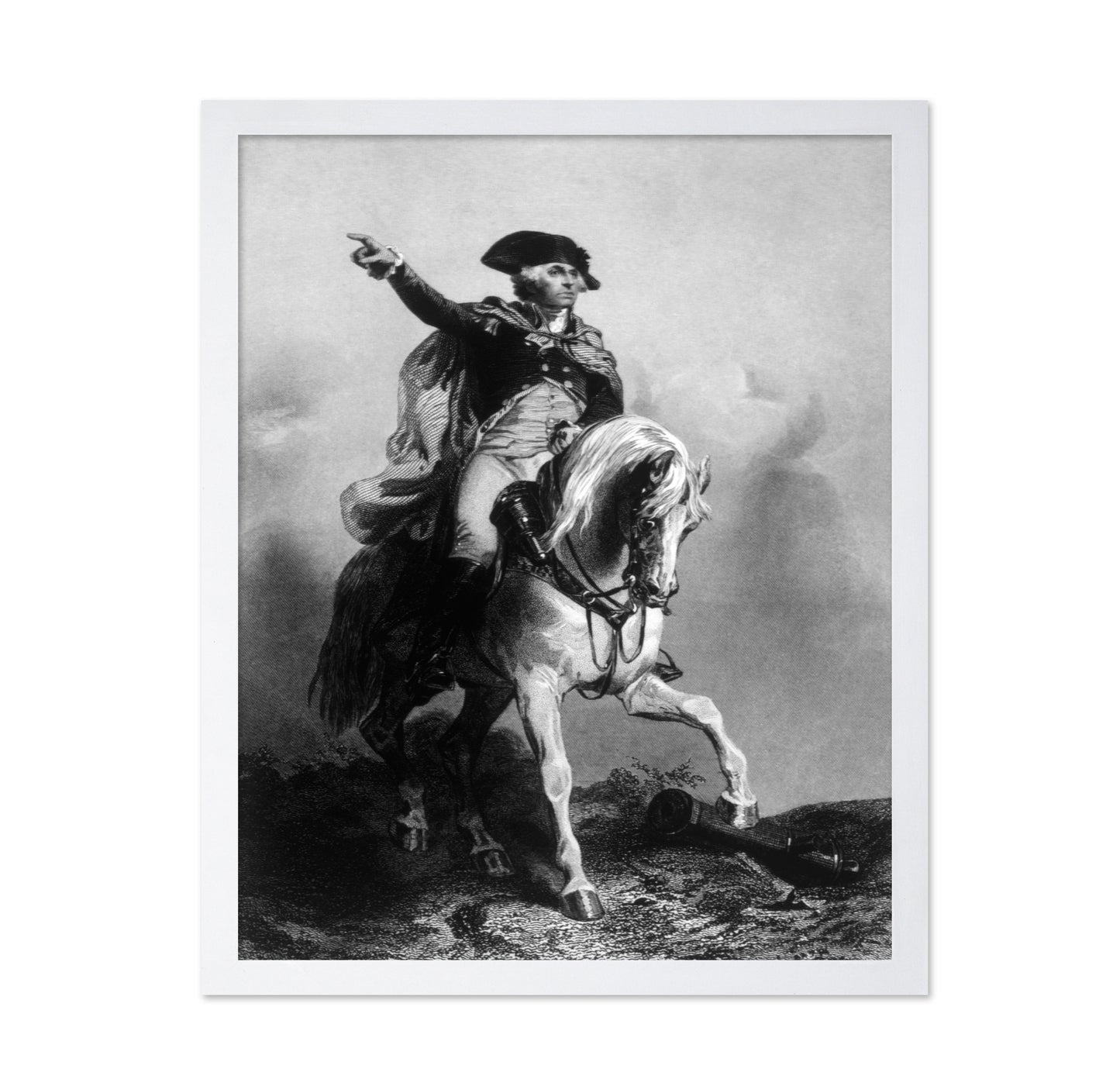 George Washington 1879