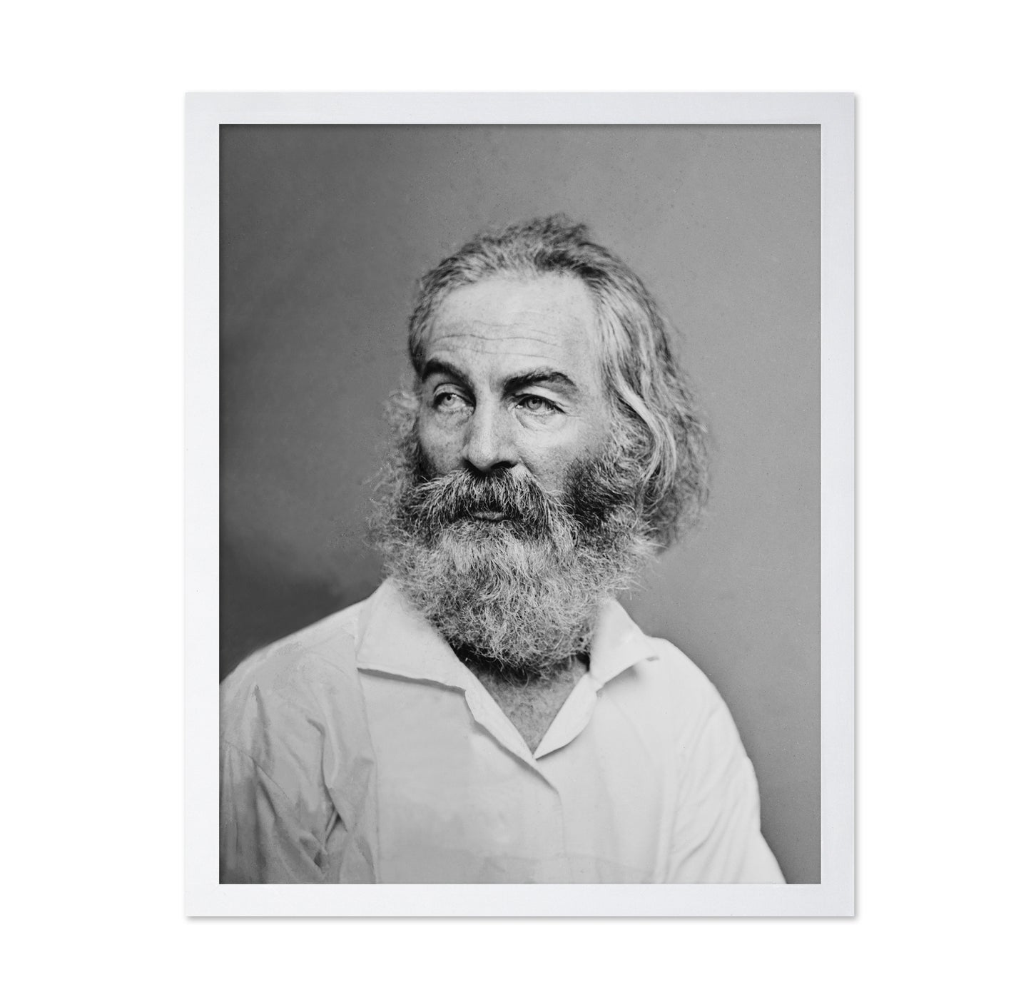 Walt Whitman 1863