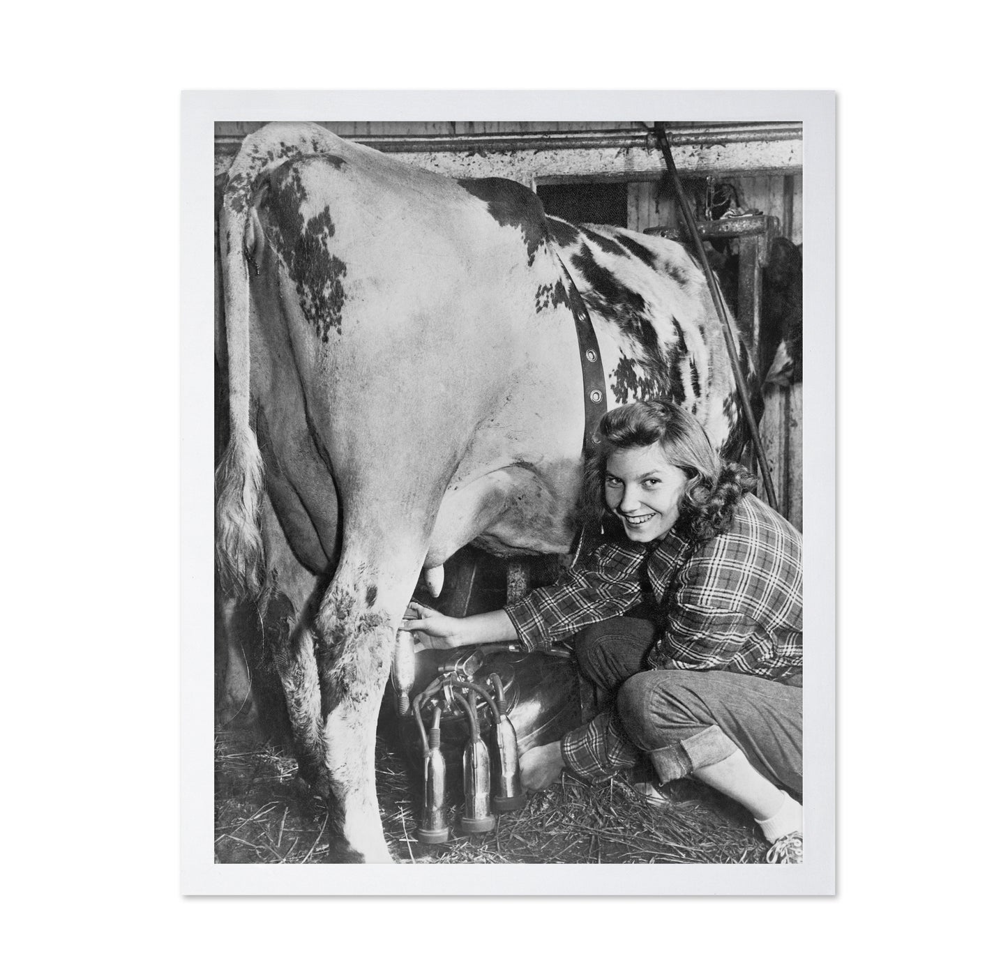Milking Time 1940s