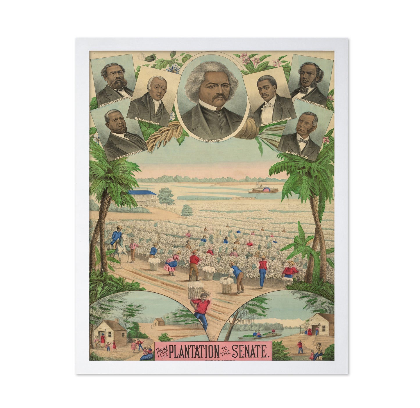Plantation Senate 1883