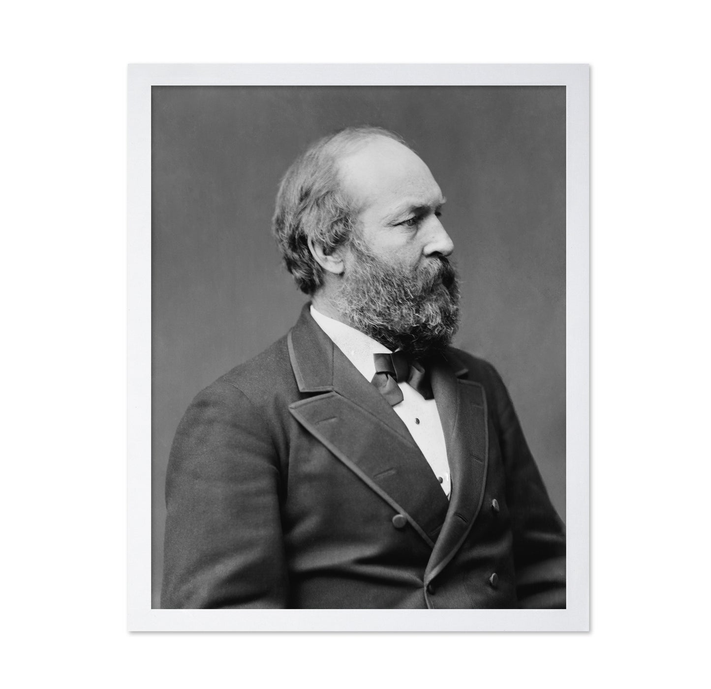 Garfield 1881