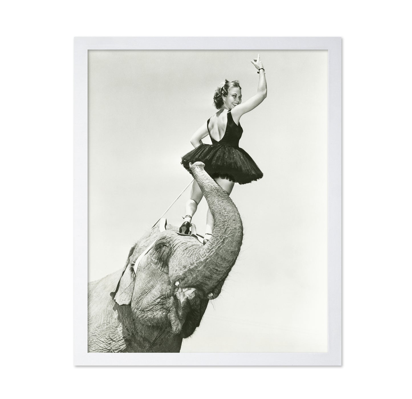 Circus Elephant 1930s