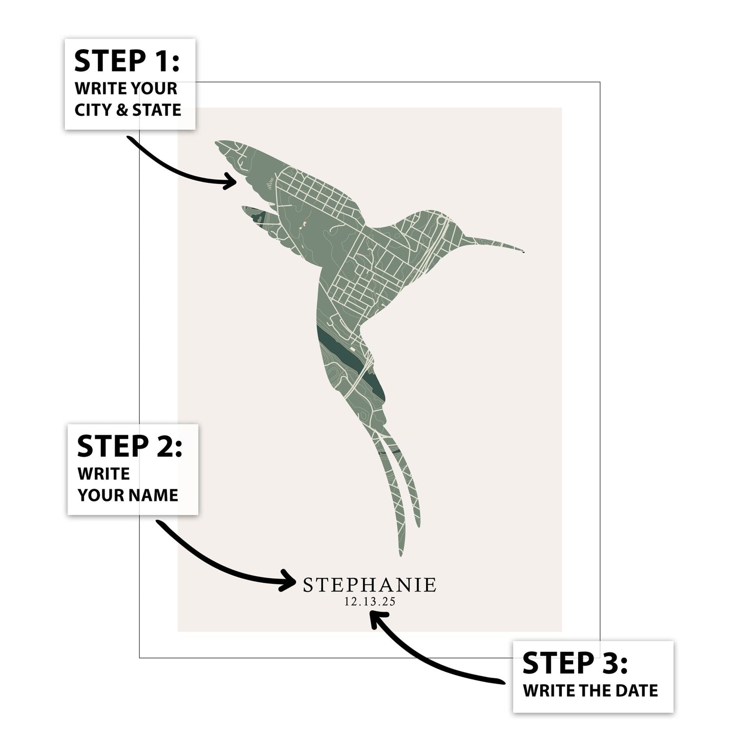 Bird City Map