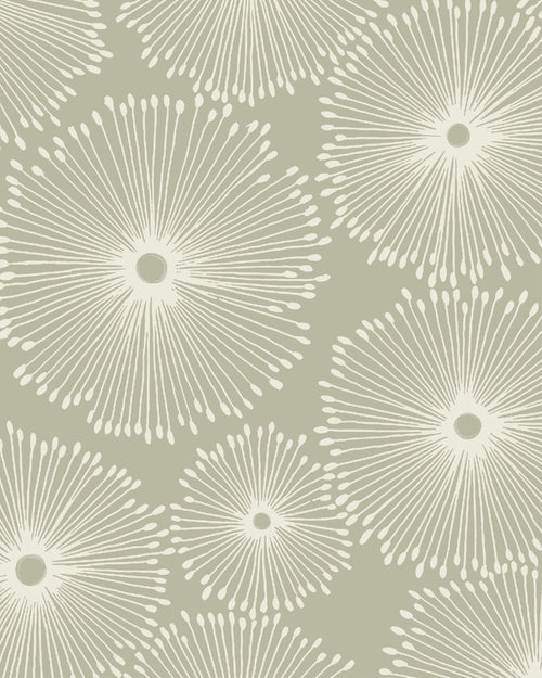 Abstract & Line Art