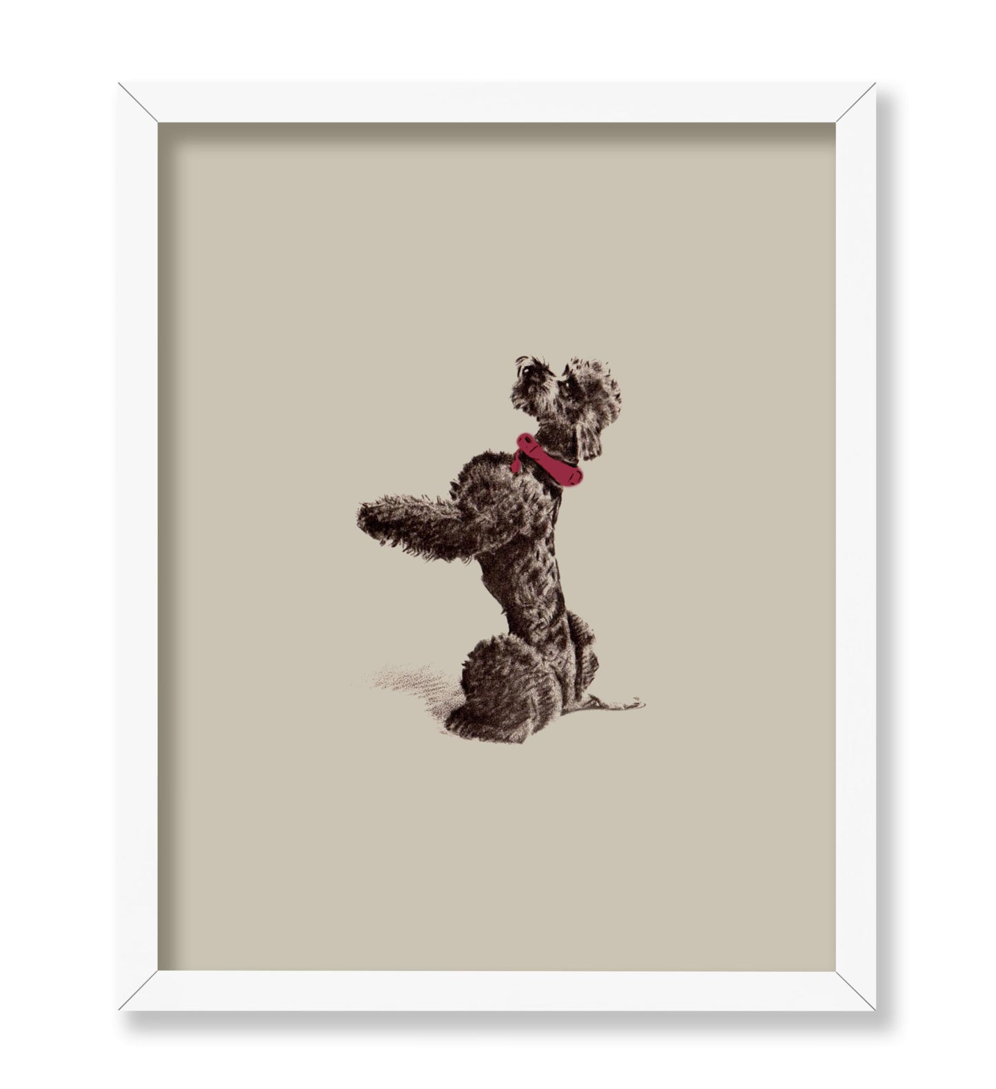 Vintage Poodle