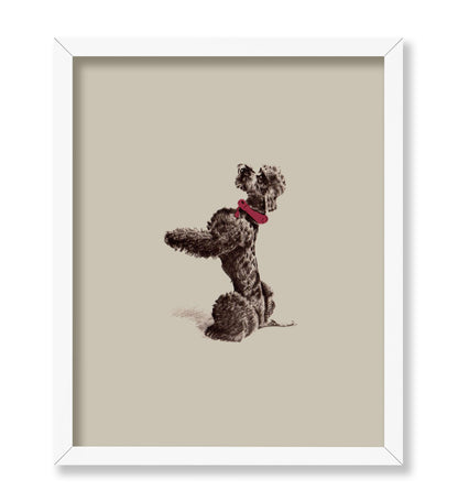 Vintage Poodle