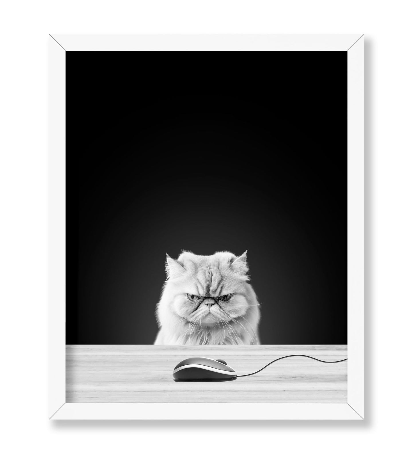 Angry Cat
