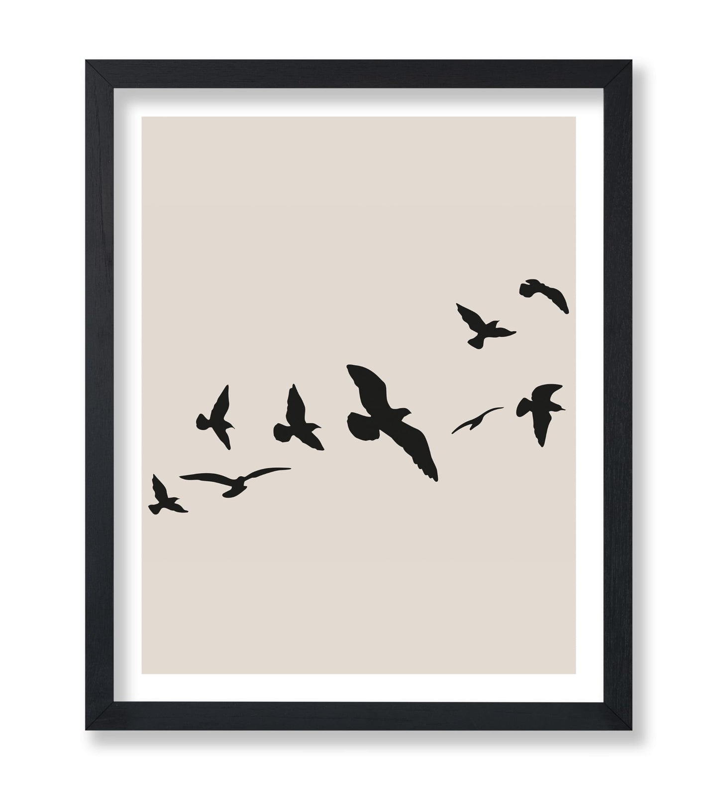 Flying Birds Silhouette