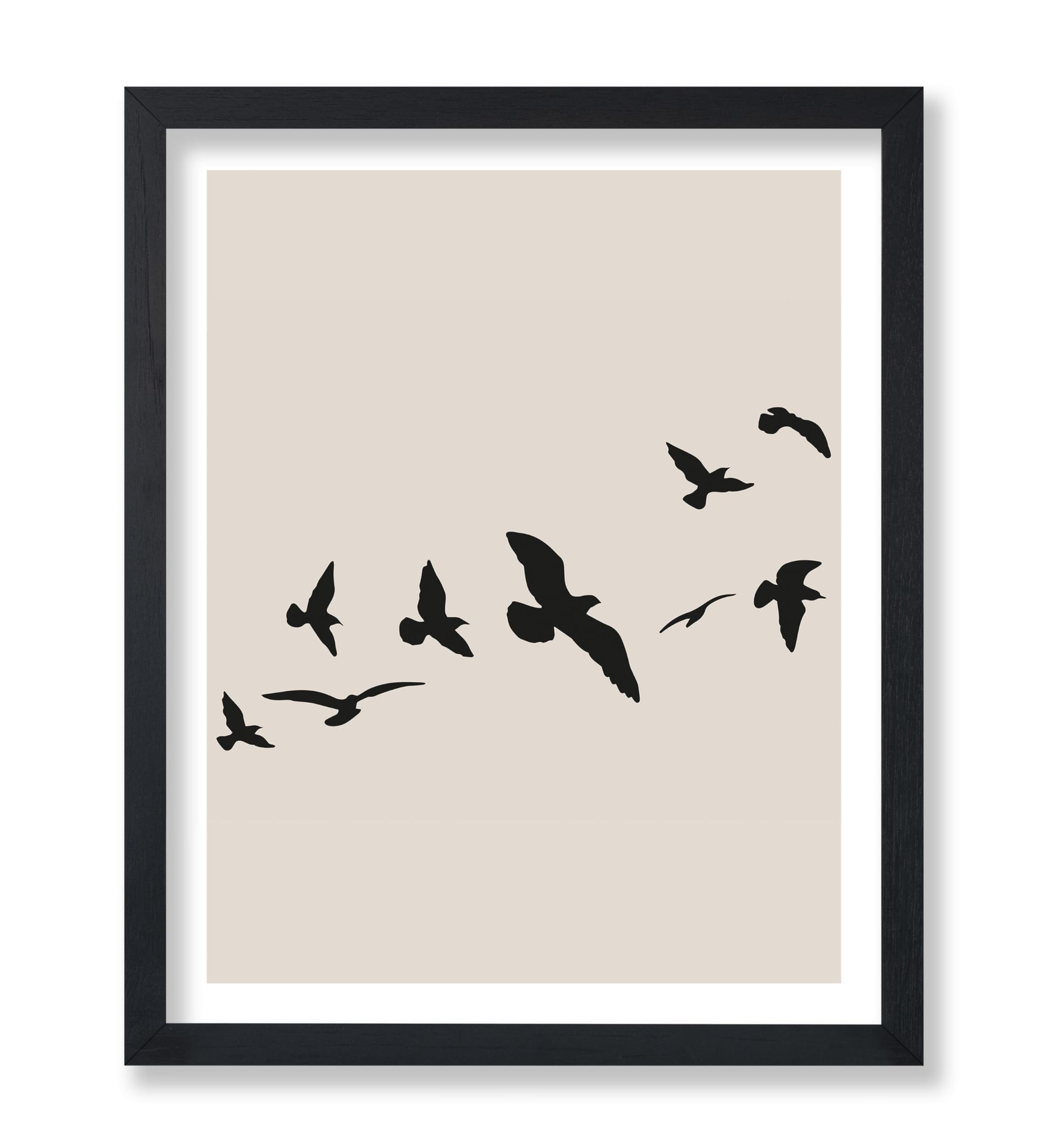 Flying Birds Silhouette
