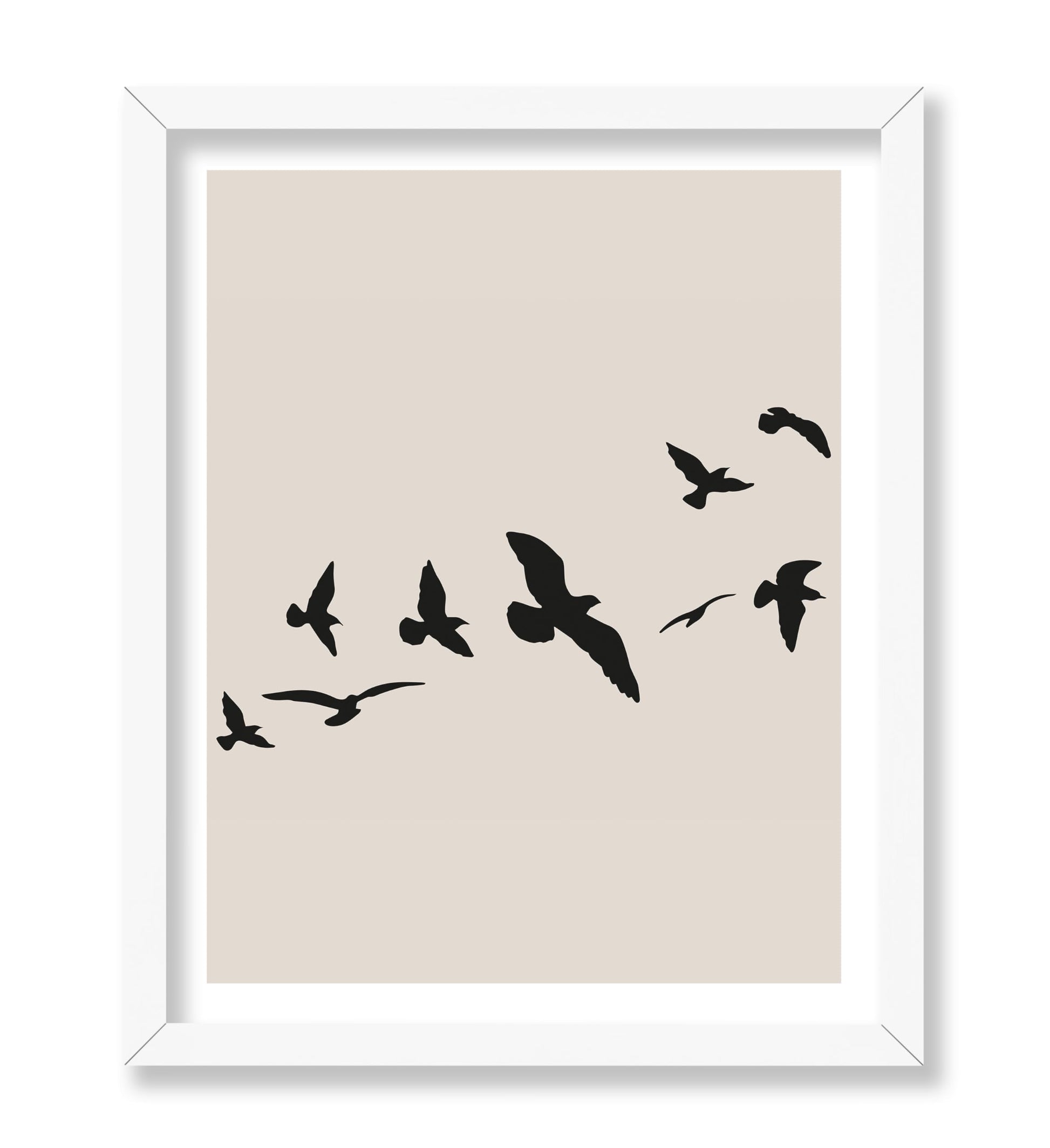 Flying Birds Silhouette