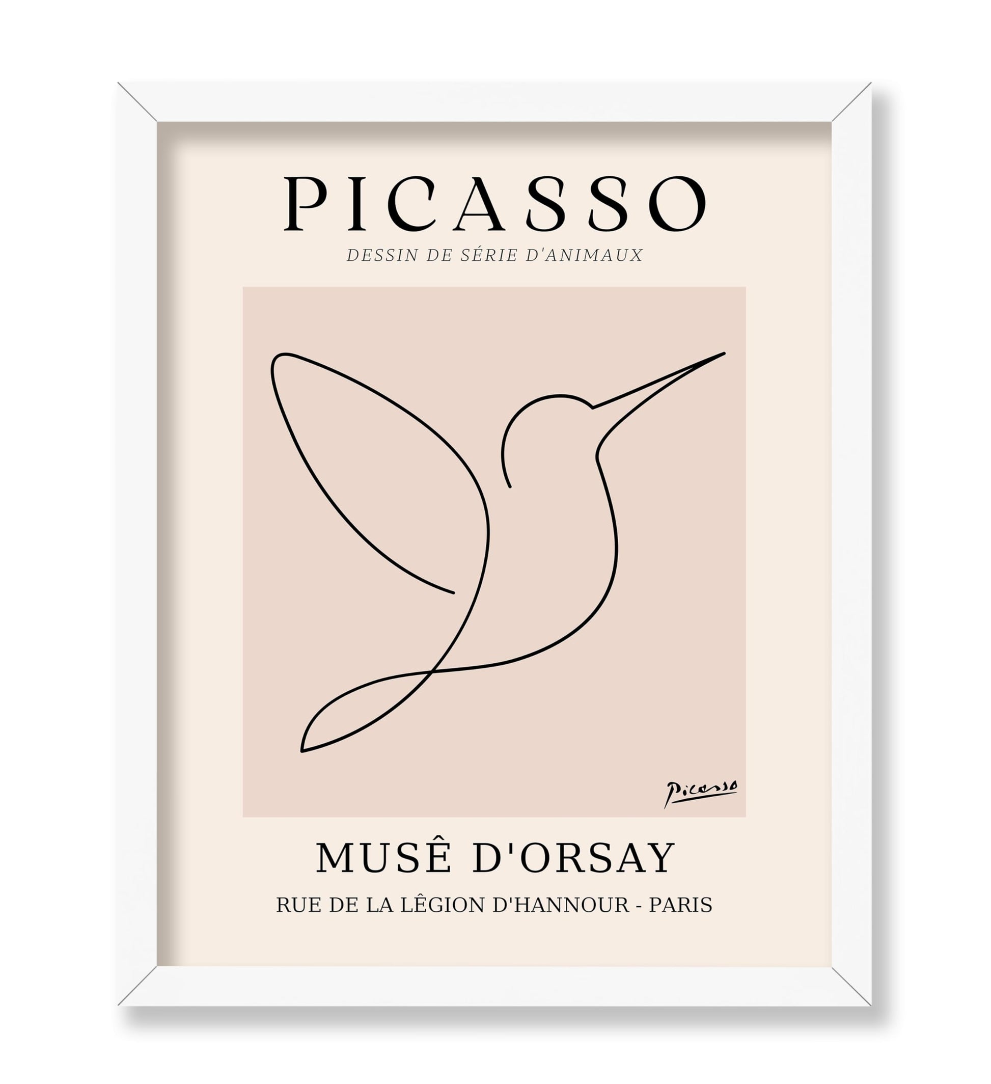 Picasso - One Line Hummingbird Drawing