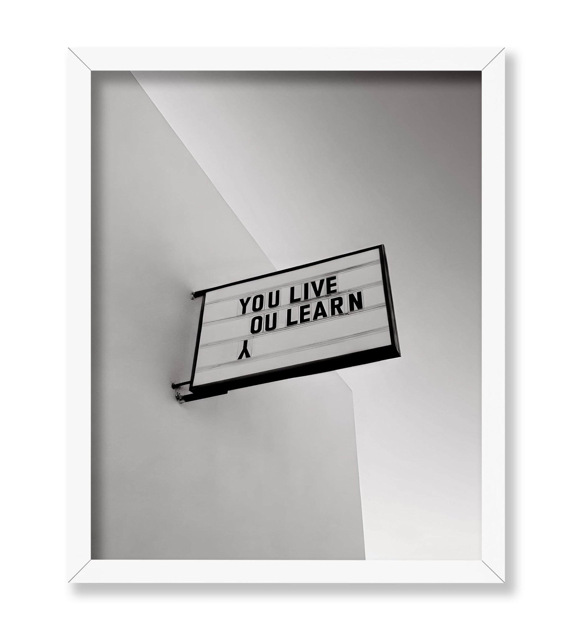 You Live You Learn