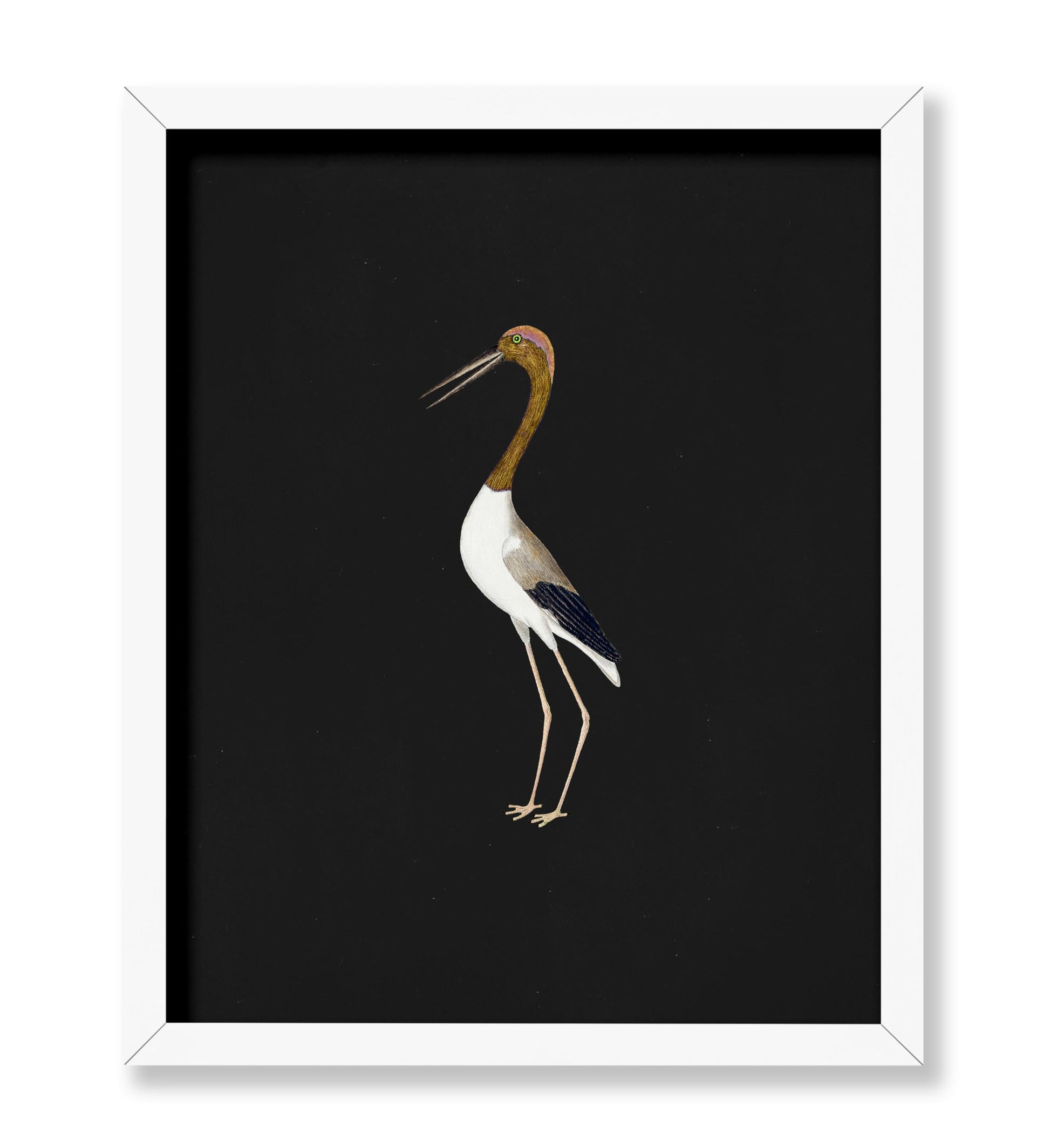 Crane Bird No2