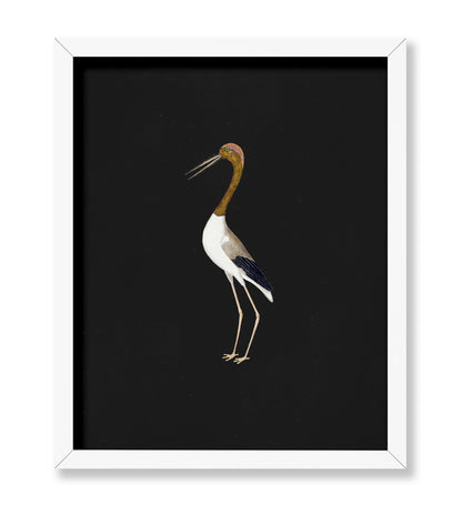 Crane Bird No2