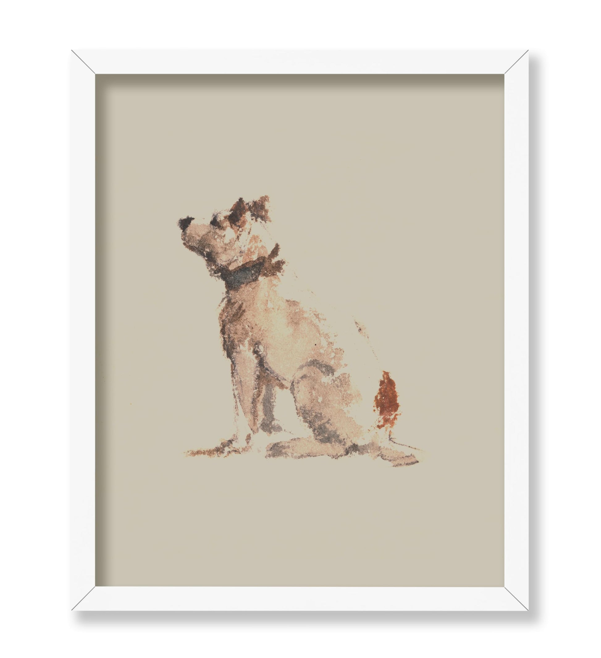 A Terrier Sitting