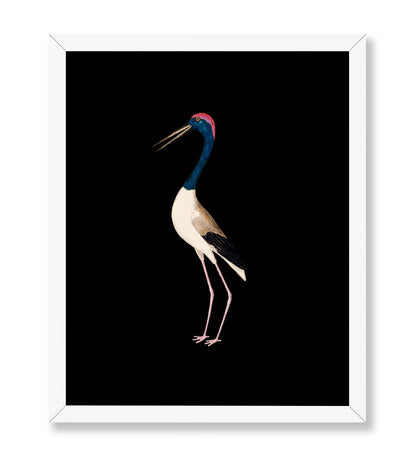 Crane Bird No1