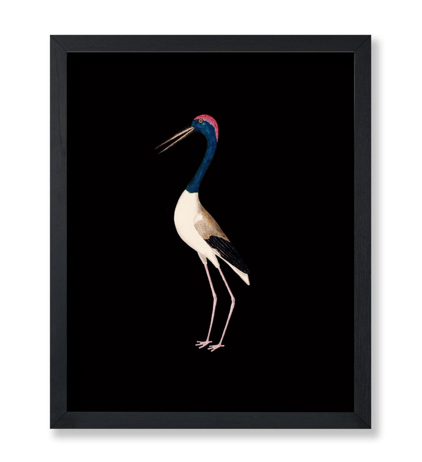 Crane Bird No1