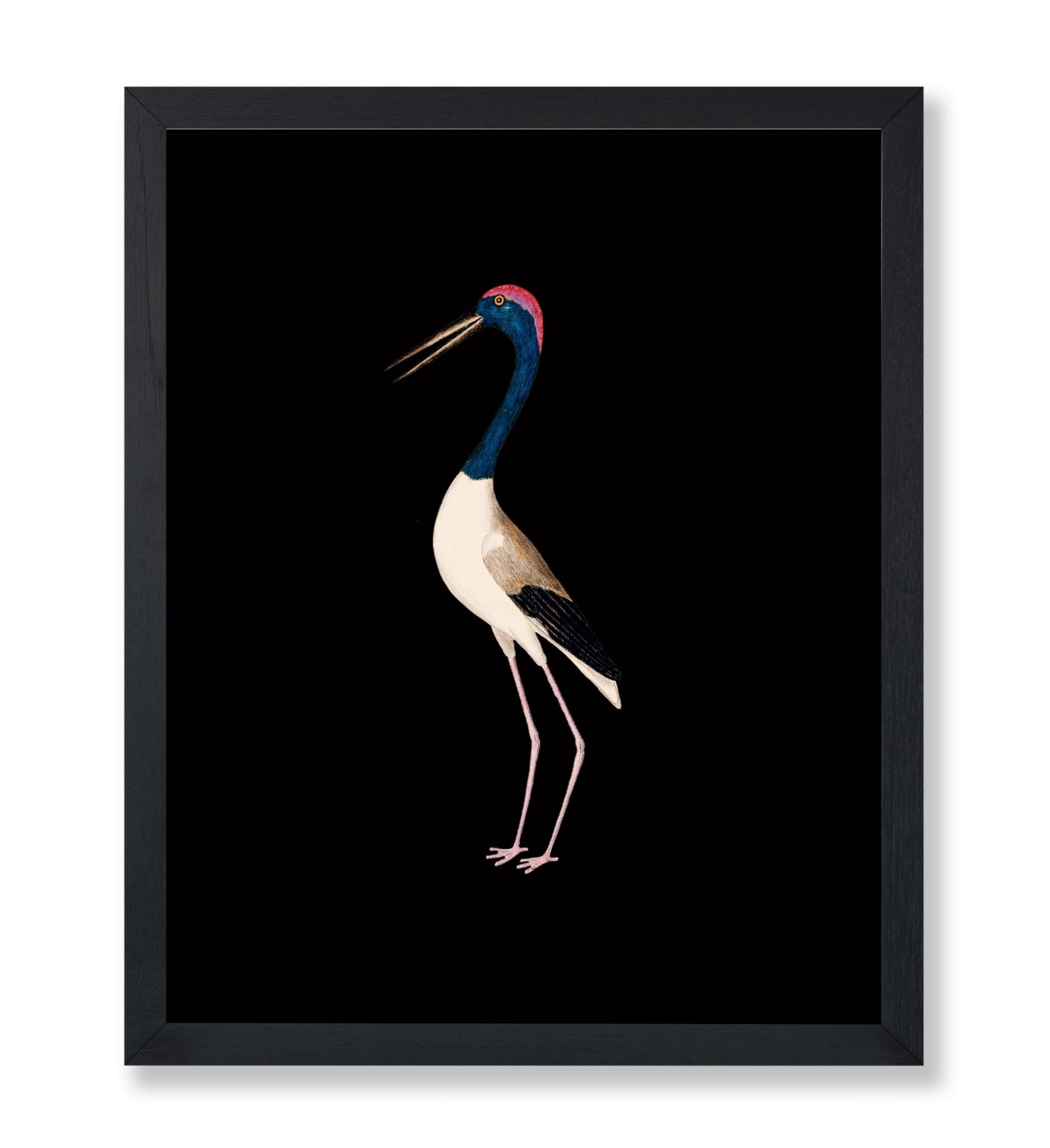 Crane Bird No1