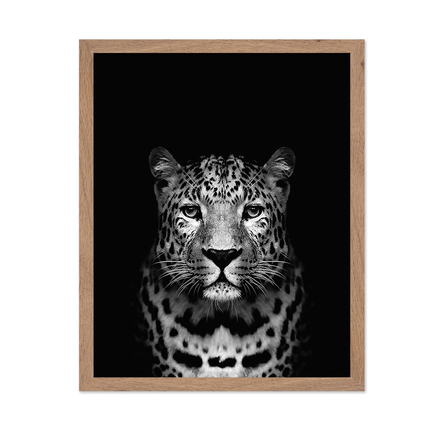 Tiger No3