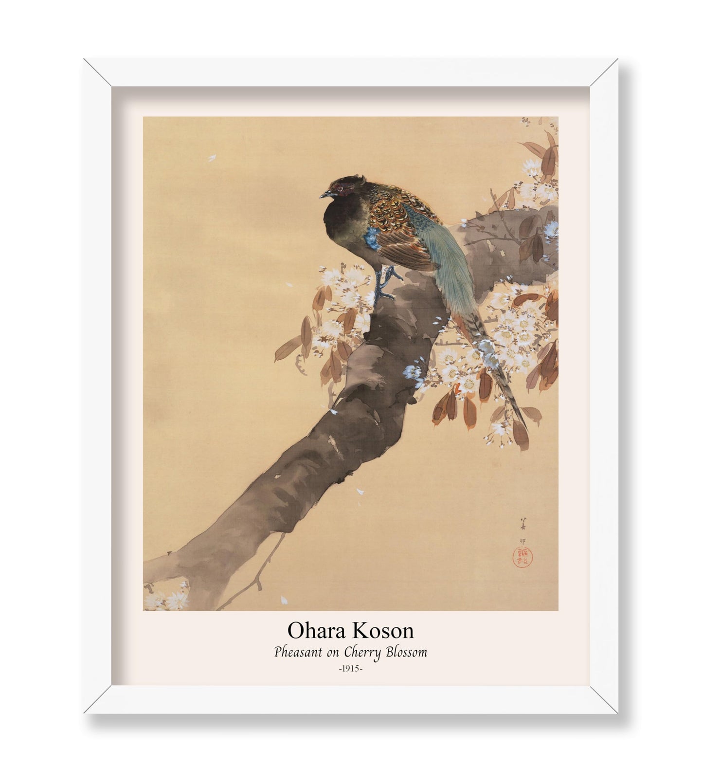 Ohara Koson - Pheasant on Cherry Blossom
