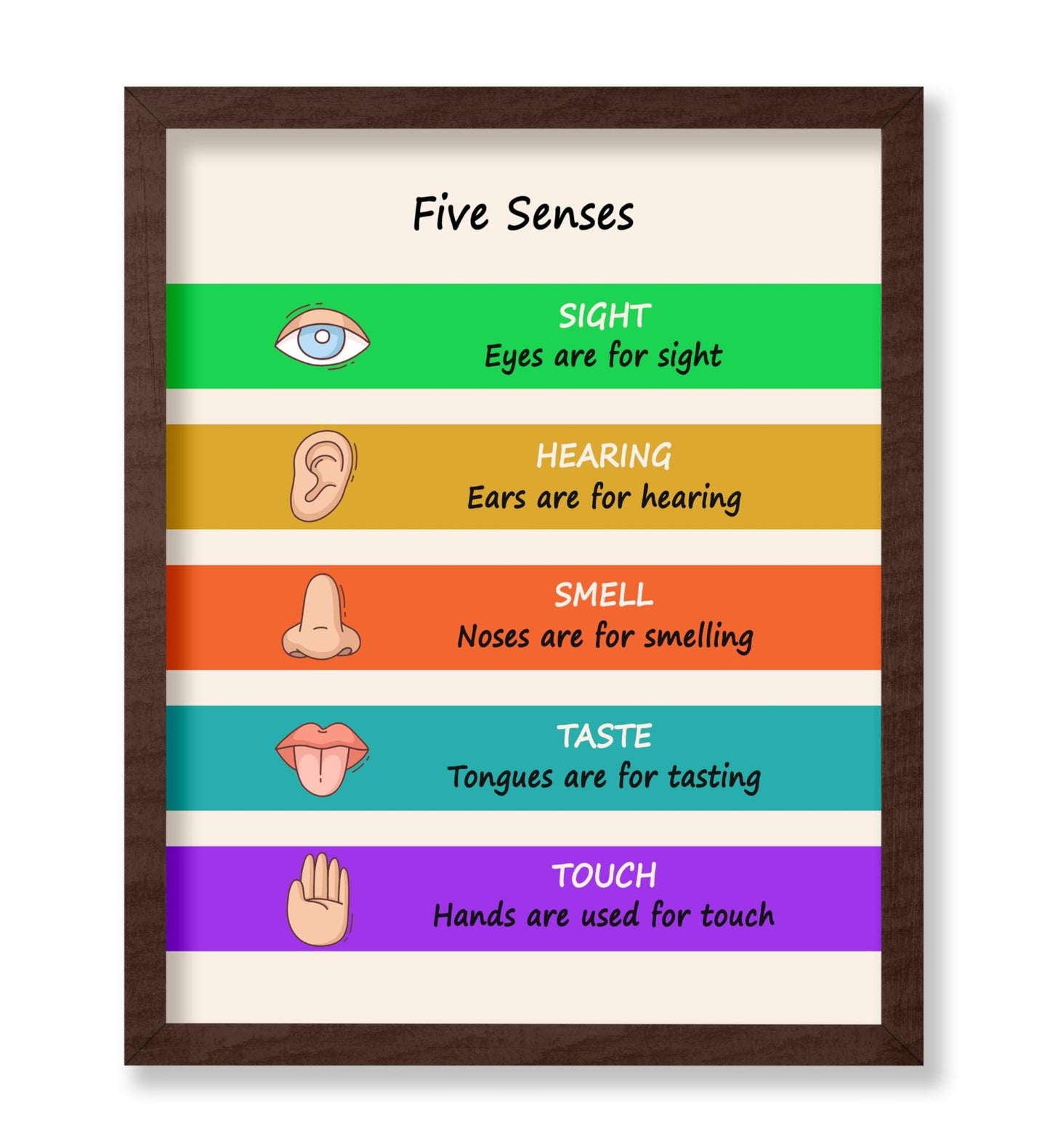 Five Senses