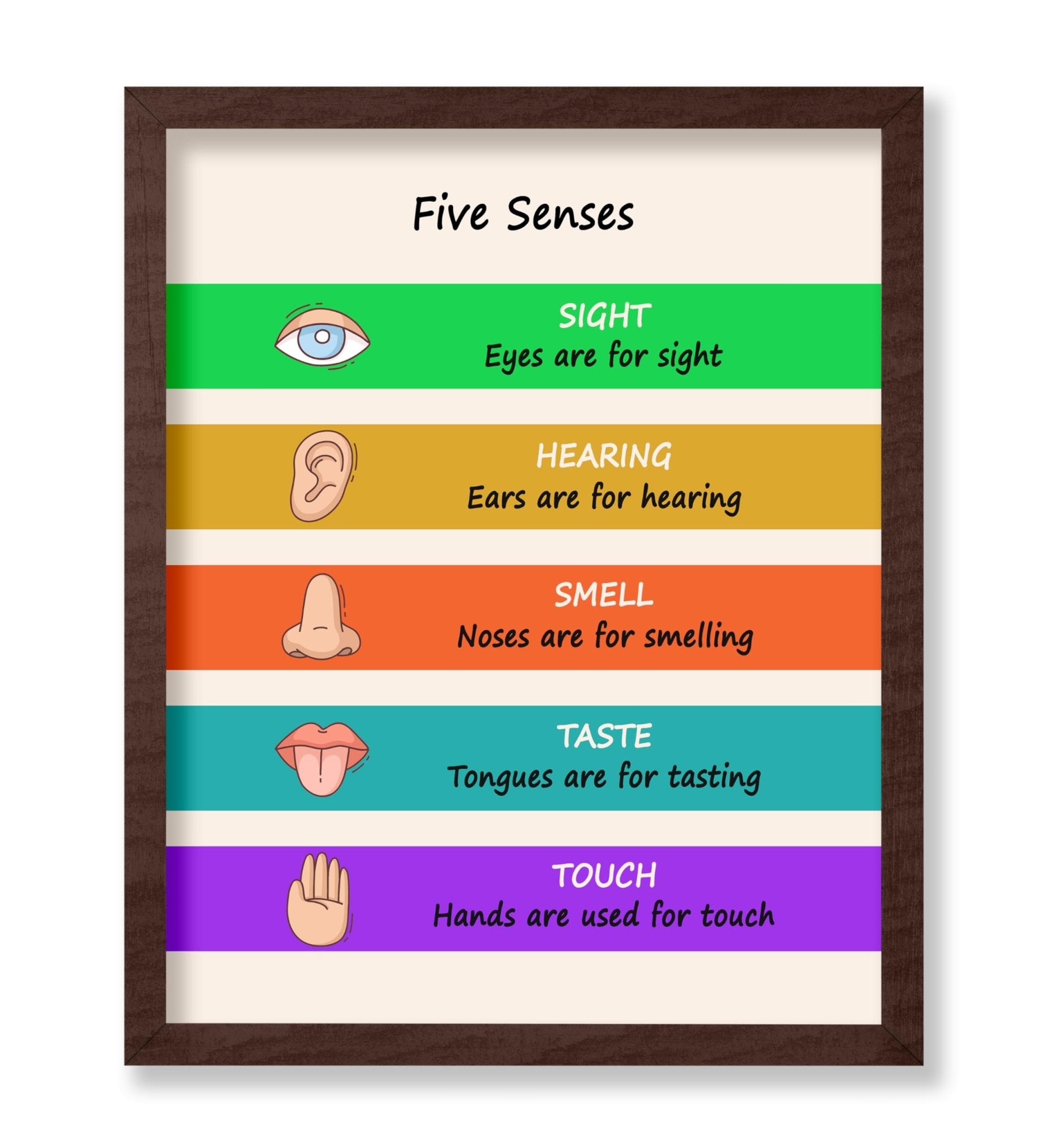 Five Senses