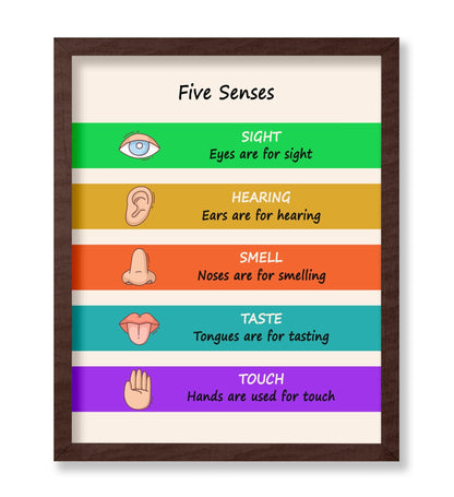 Five Senses