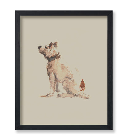 A Terrier Sitting