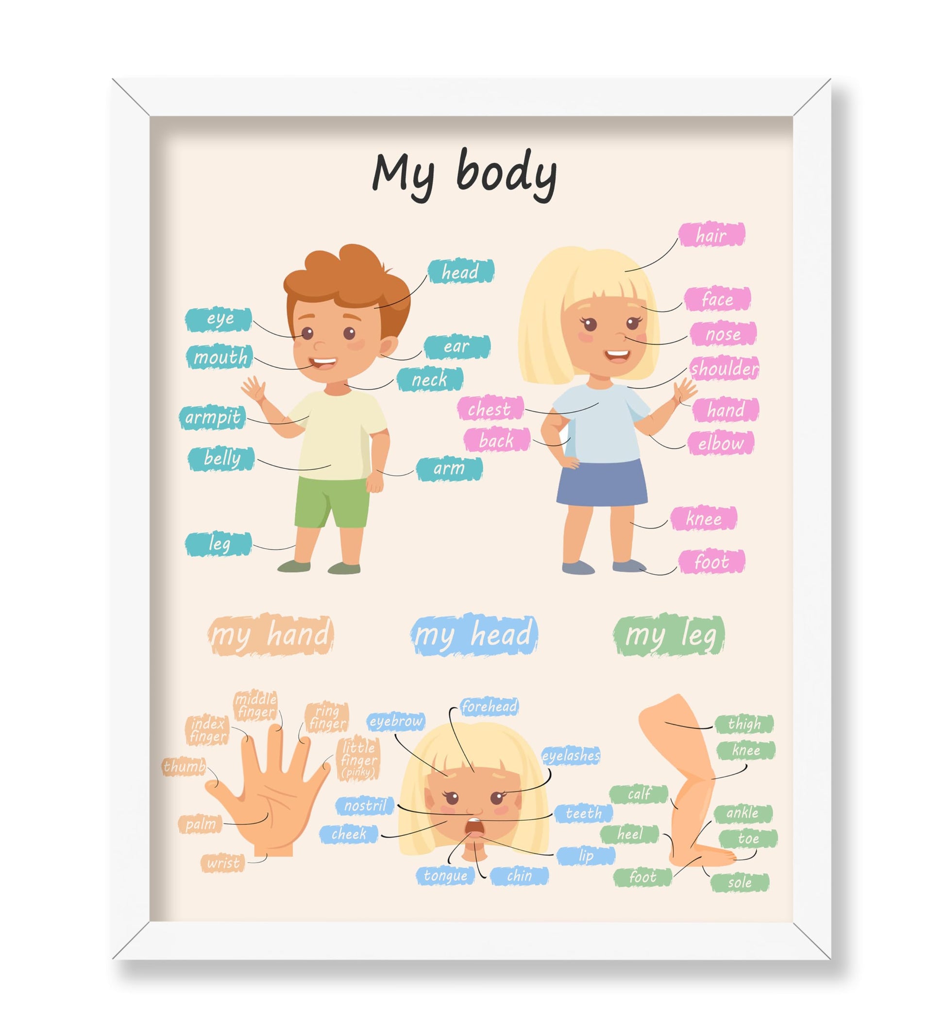 My Body