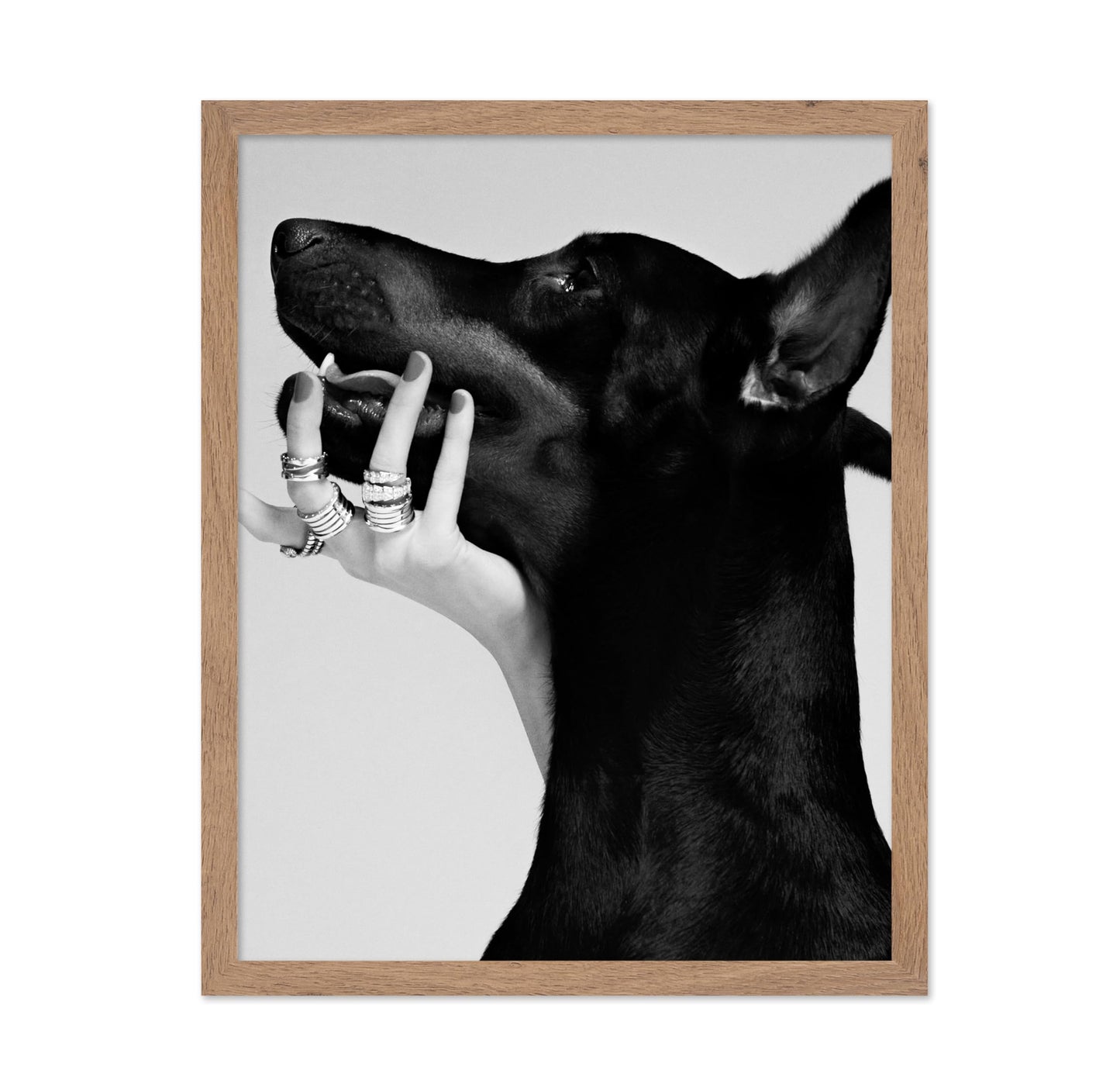 Black Dobermann