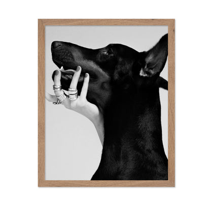 Black Dobermann