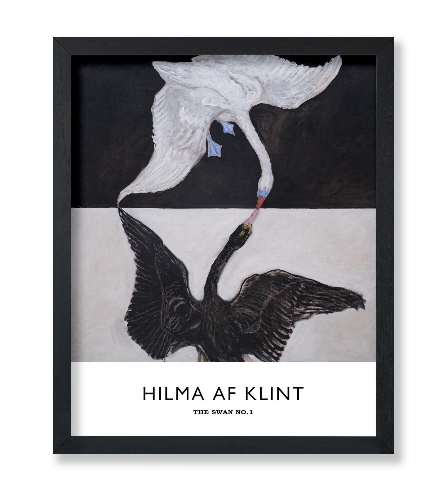 Hilma Af Klimt - The Swan No1