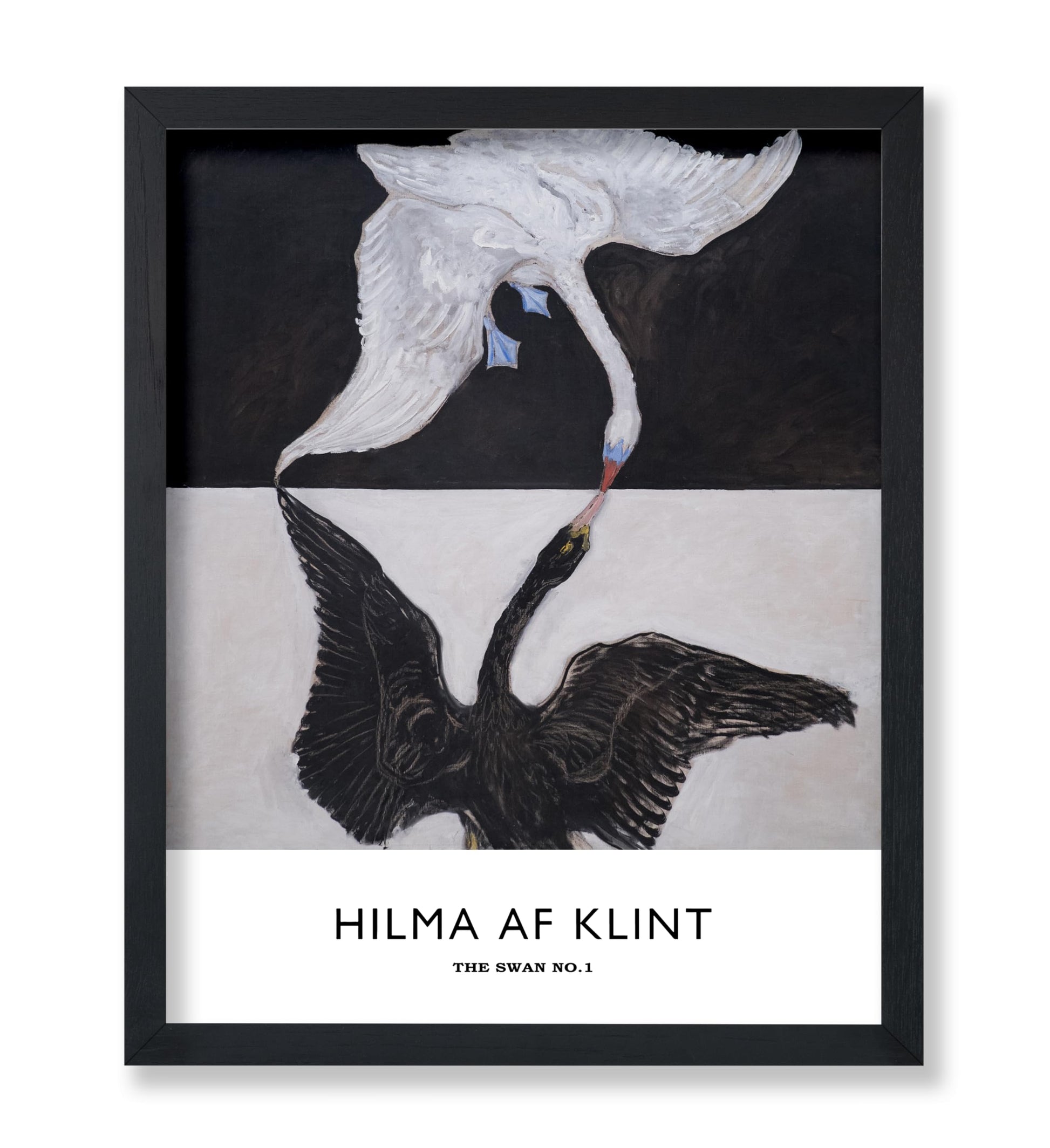 Hilma Af Klimt - The Swan No1