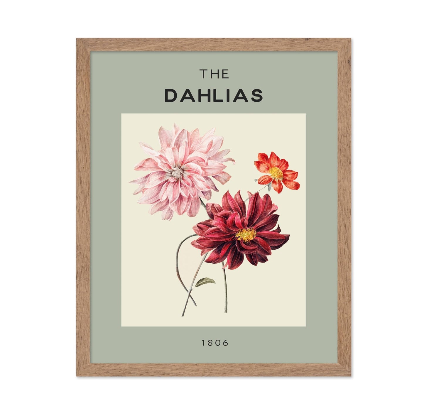 The Dahlias