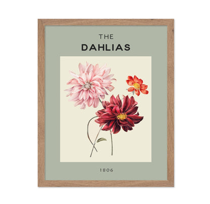 The Dahlias