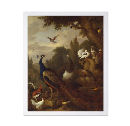 Birds in a Park