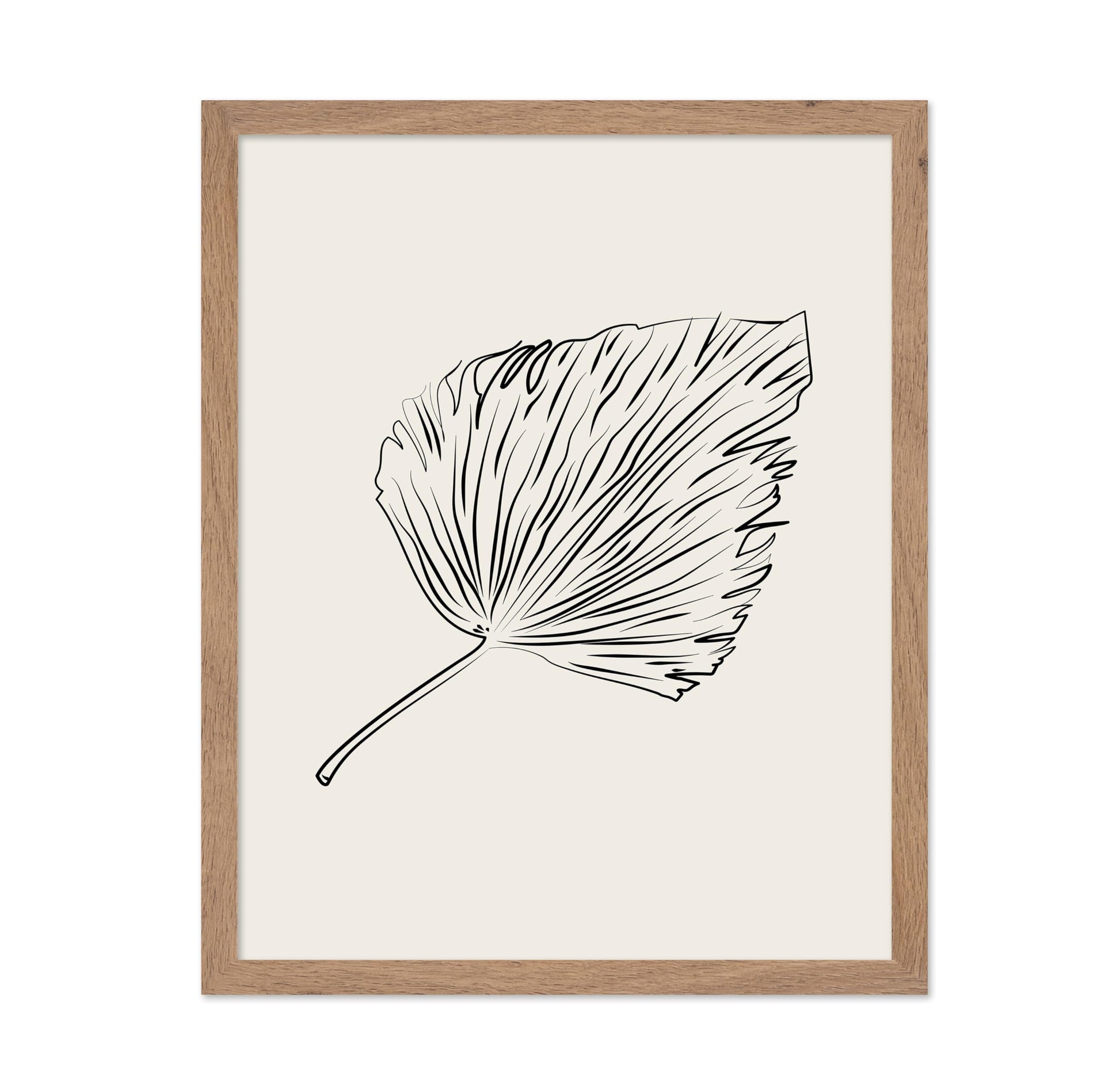 Leaf Sketch