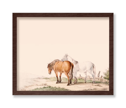 Brown and White Horse