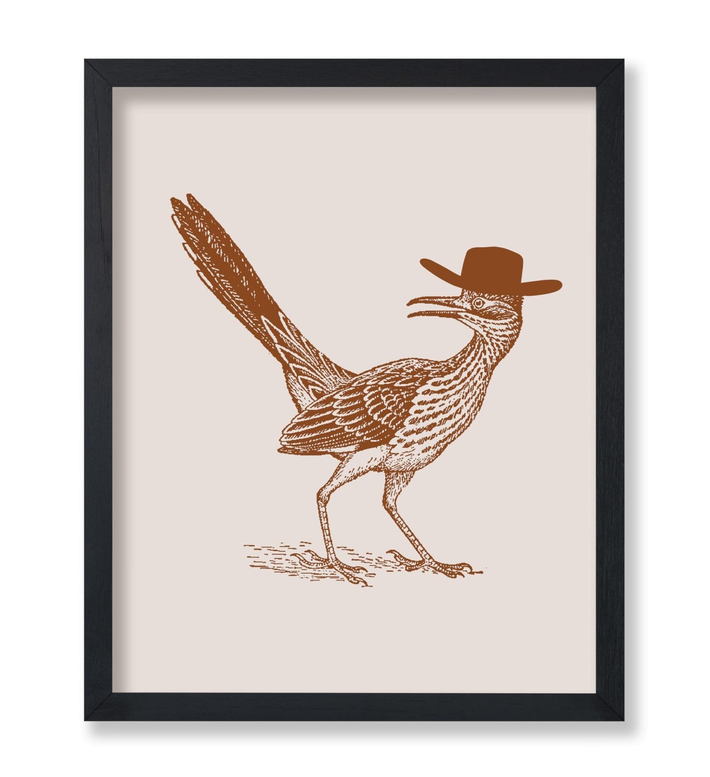 Brown Roadrunner