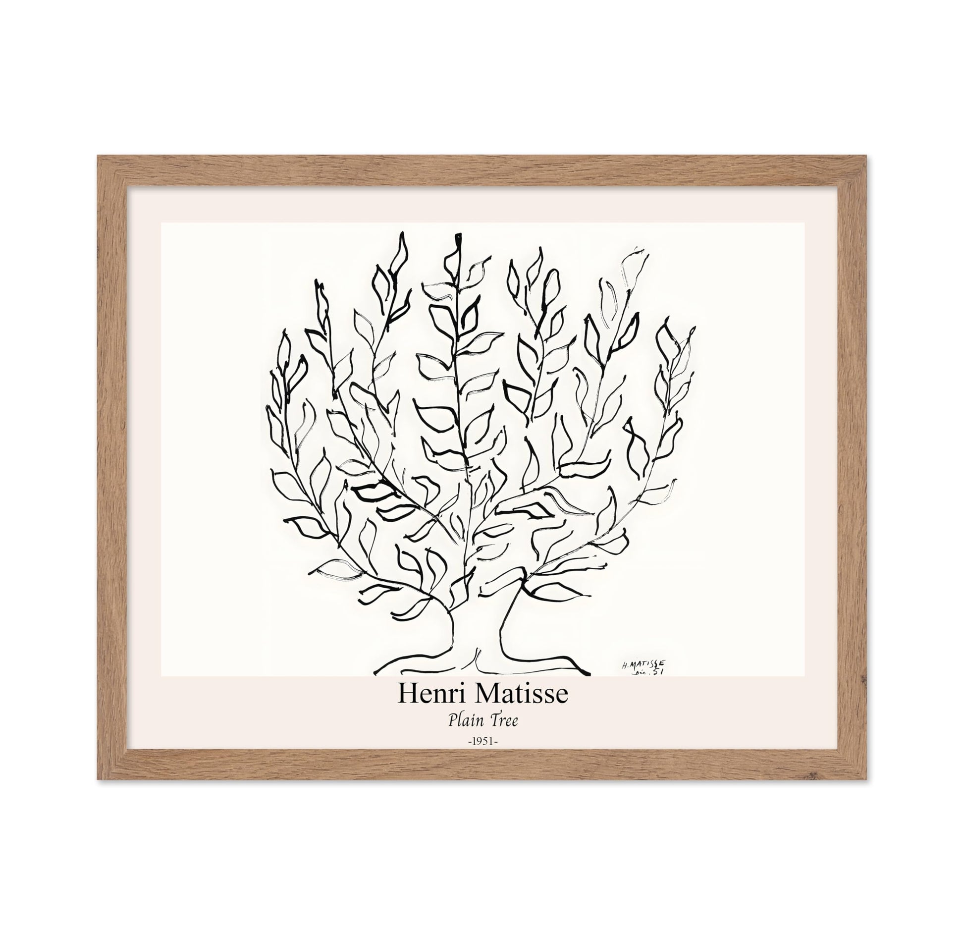 Henri Matisse - Plain Tree