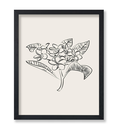 Plumeria Flower Sketch