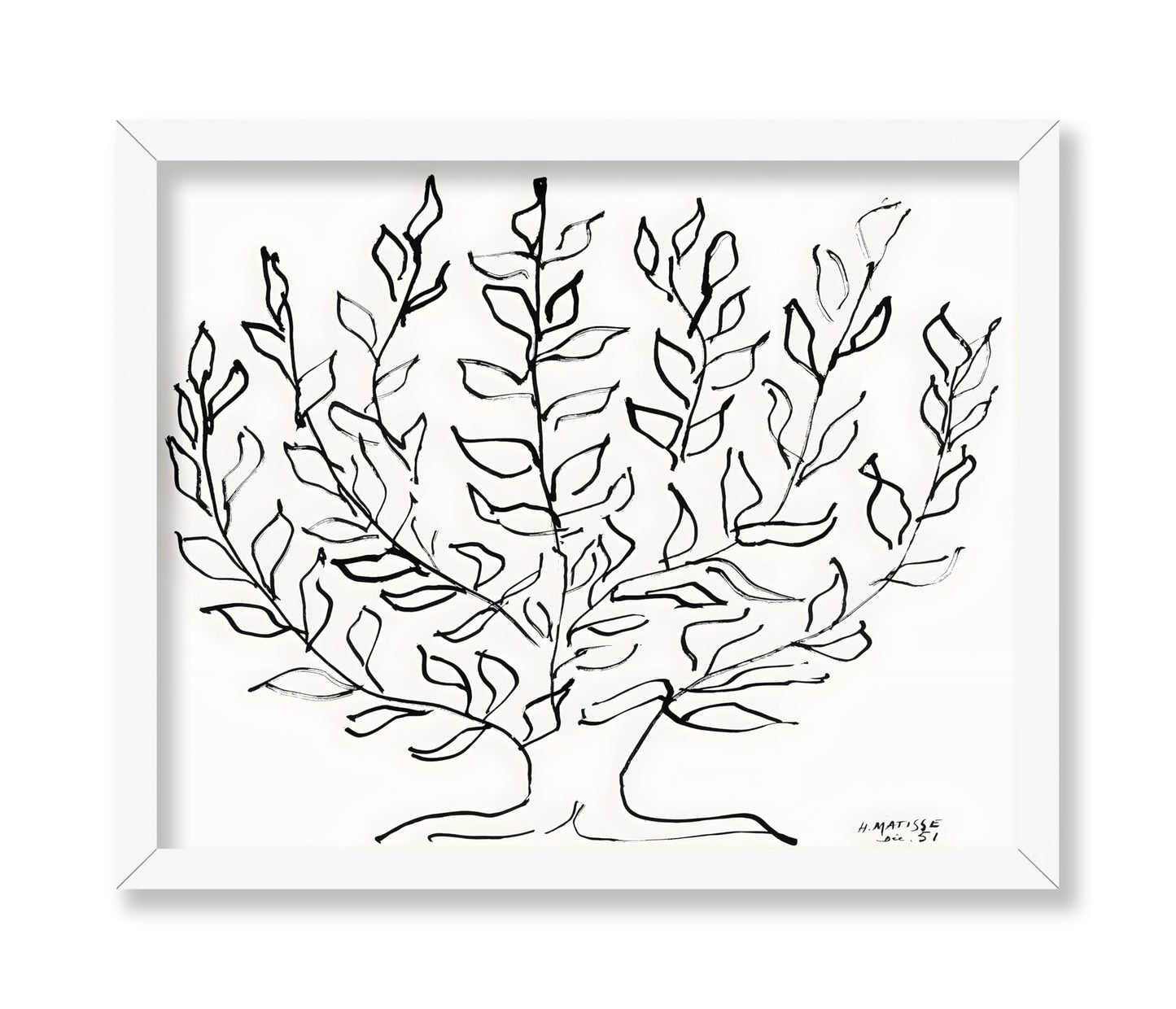 Henri Matisse - Plain Tree No2