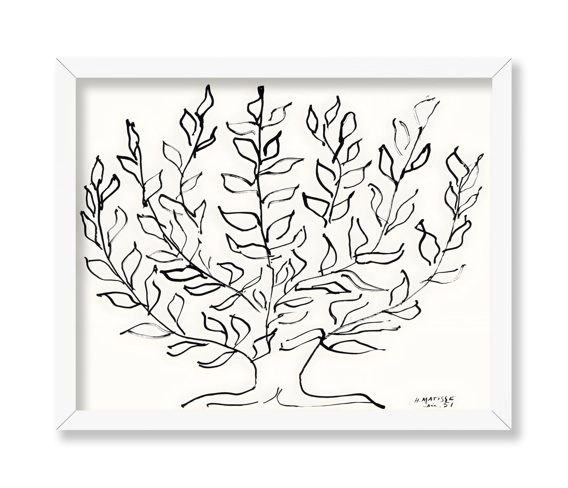 Henri Matisse - Plain Tree No2