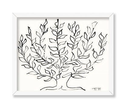 Henri Matisse - Plain Tree No2