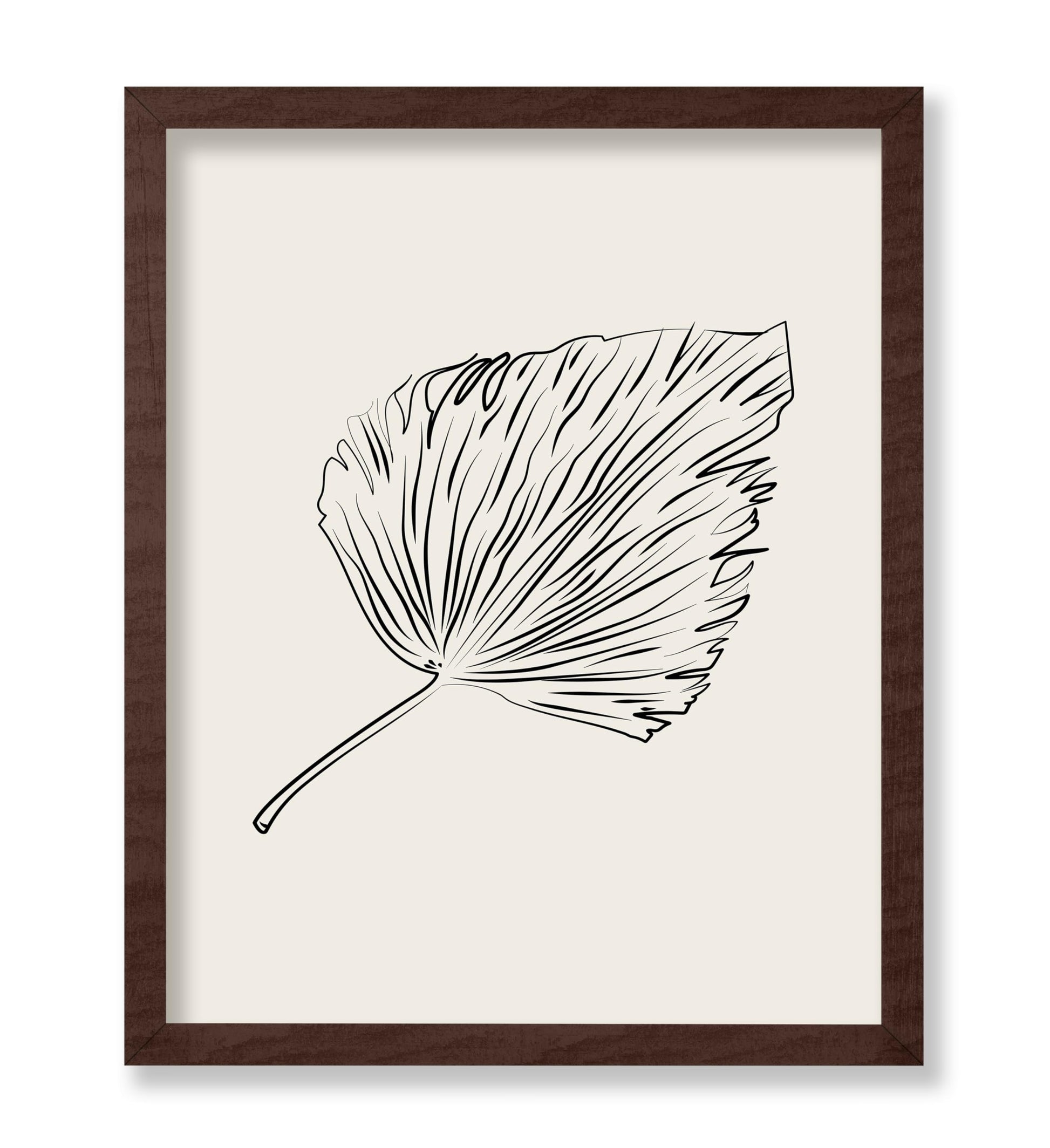Leaf Sketch