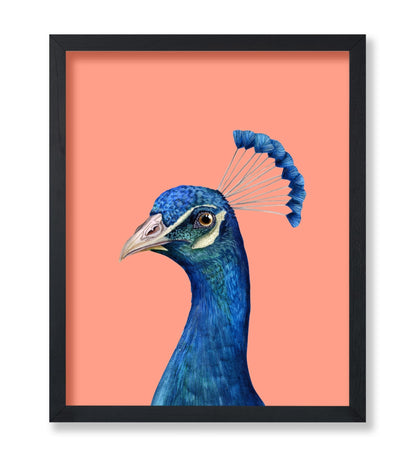 Peacock Portrait