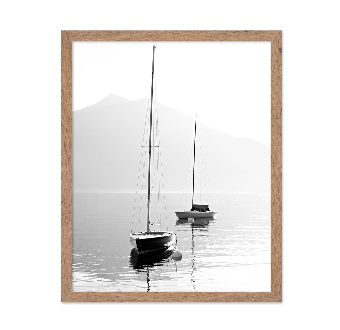 Still Bay Sailboats