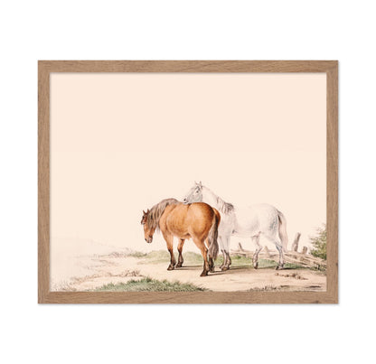 Brown and White Horse
