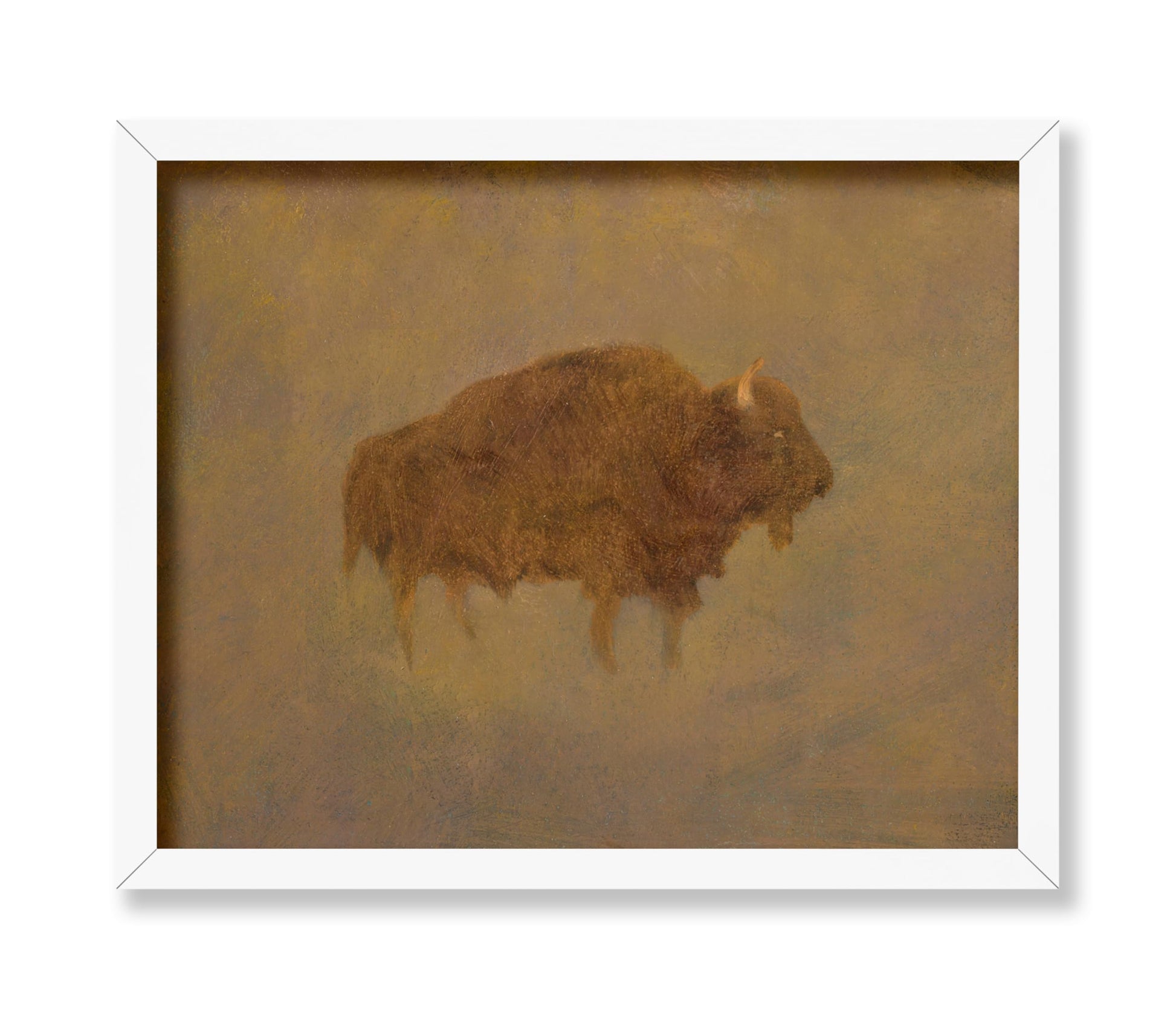 Buffalo in a Sandstorm