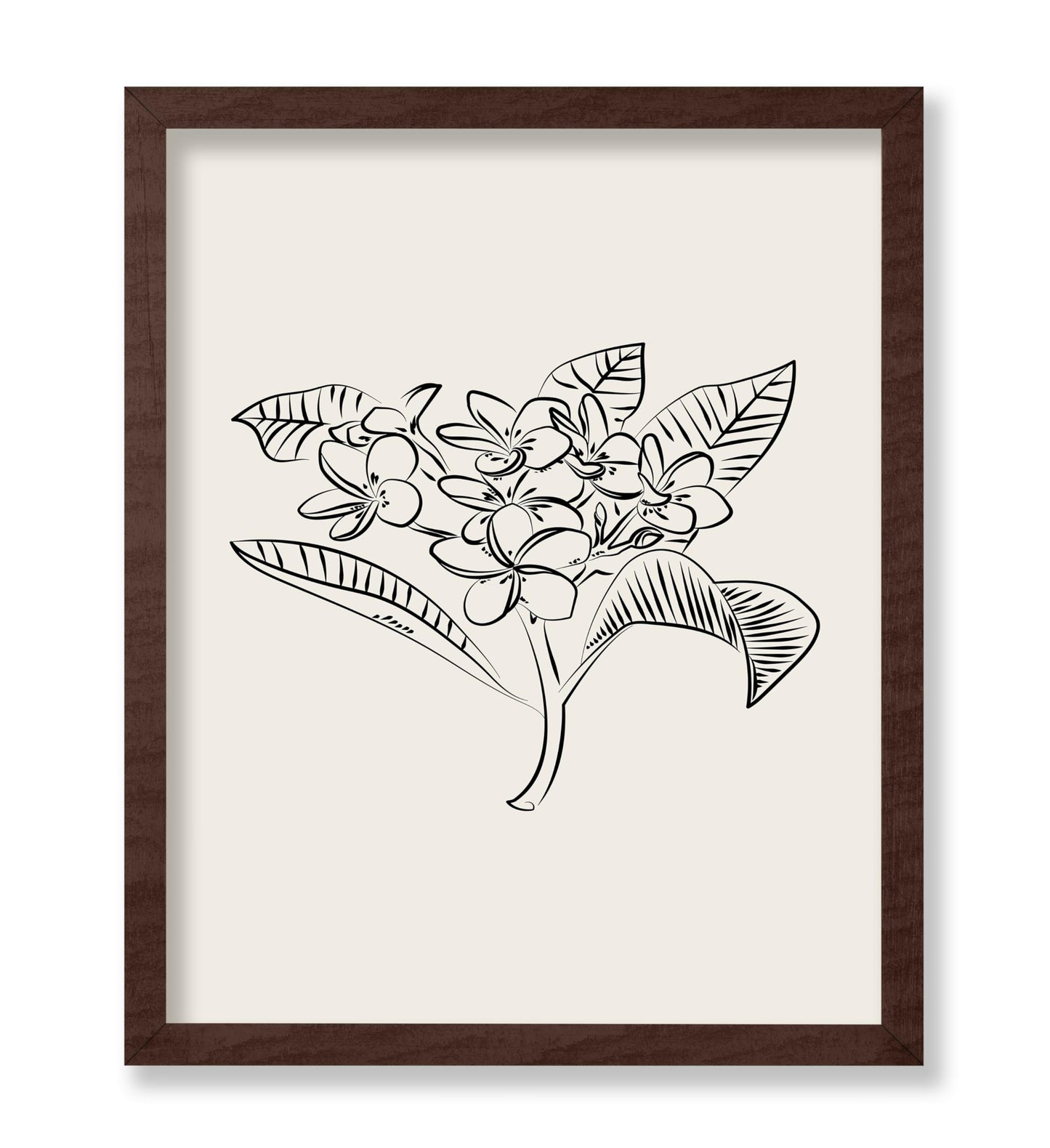 Plumeria Flower Sketch